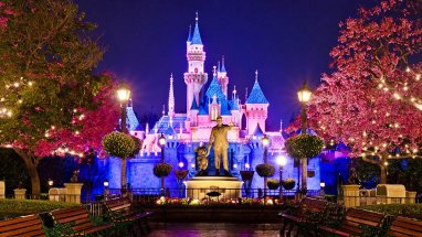 the-beauty-of-the-existing-lights-at-disneyland-3